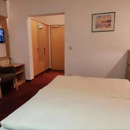 Blauer Bock - Hotel-garni Pensionat 4*