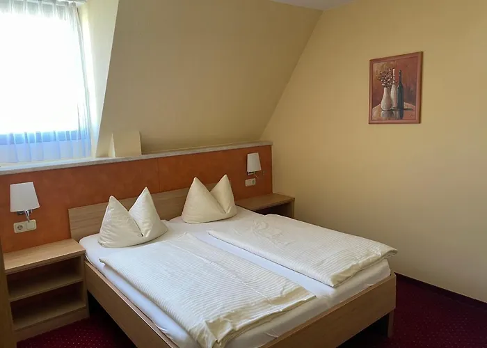 Blauer Bock - Hotel-garni 4*