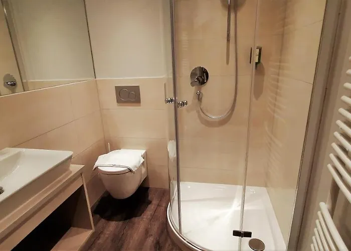 Blauer Bock - Hotel-garni 4*