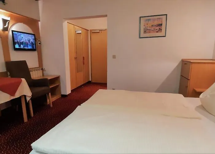Blauer Bock - Hotel-garni Pensionat 4*